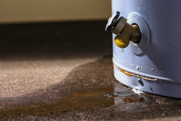 Best Flooded house restoration  in Brentwood, MO
