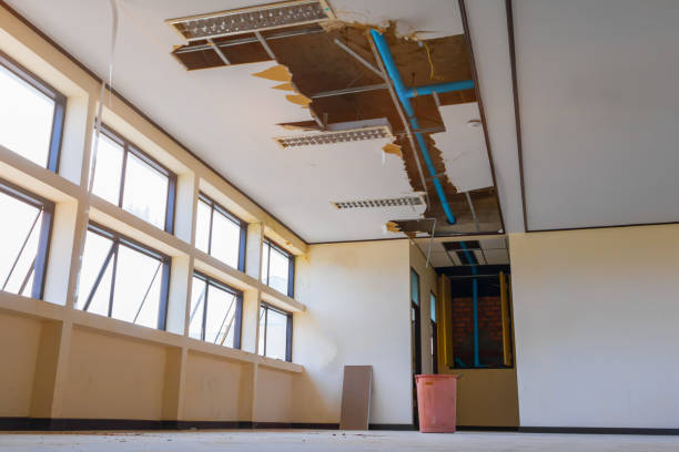 Best Professional water damage repair  in Brentwood, MO