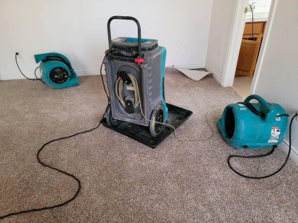 Professional Water damage restoration in Brentwood, MO