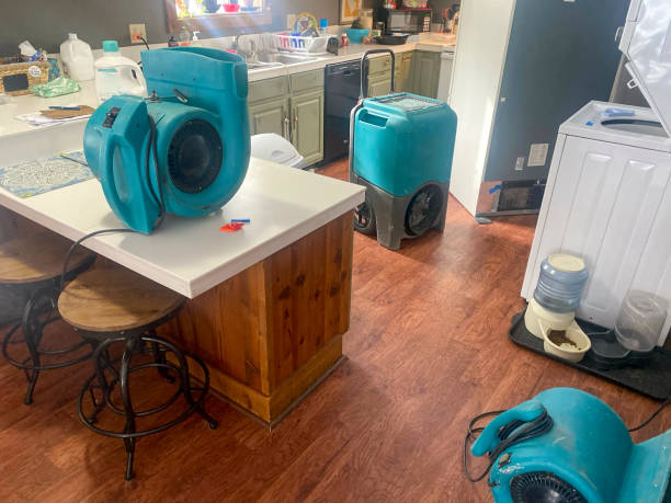 Best Commercial water damage restoration  in Brentwood, MO