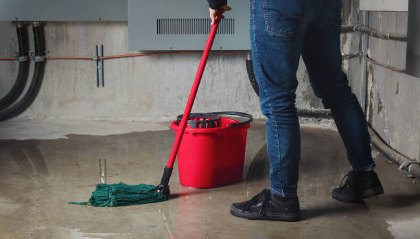 Best Carpet water damage restoration  in Brentwood, MO