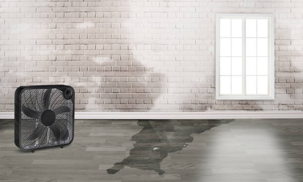 Best 24/7 water damage repair  in Brentwood, MO