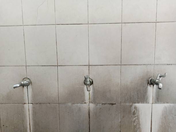 Best Ceiling water damage repair  in Brentwood, MO